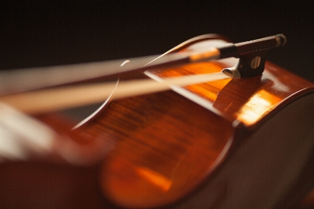 Foto Kayu gitar akustik instrumen