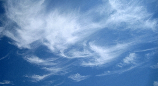 Nature horizon light cloud Photo