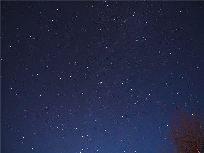 Sky night star atmosphere Photo