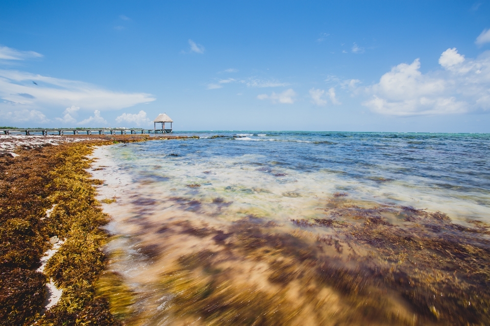 Plaża krajobraz morze wybrzeże