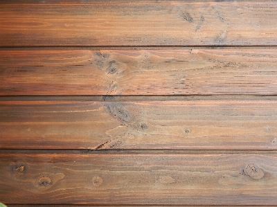 Structure board wood grain Photo