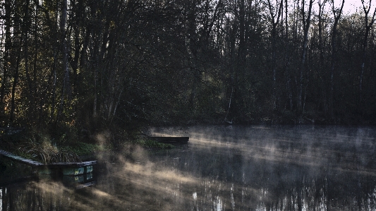 風景 木 水 自然 写真