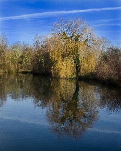 Landscape tree water nature Photo