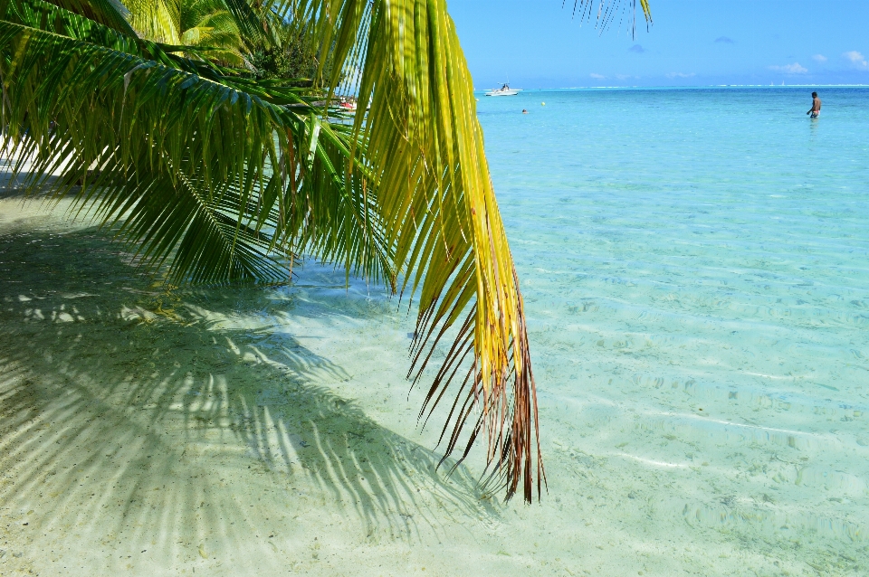 Plage mer côte eau