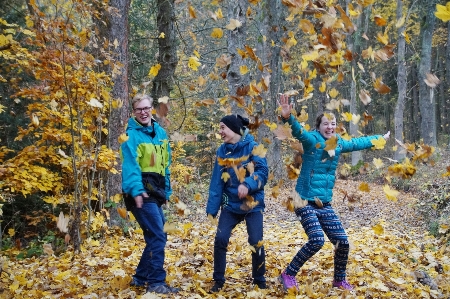 Baum menschen abenteuer herbst Foto