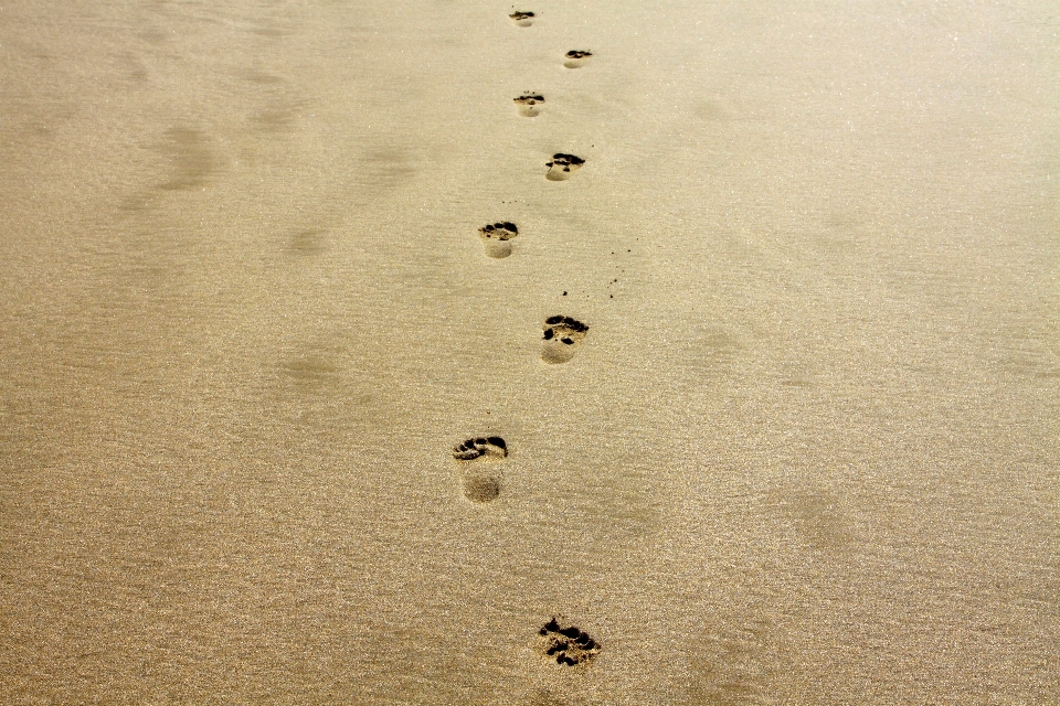 Hand beach sea coast