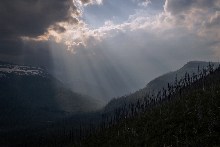 Landscape nature forest wilderness Photo