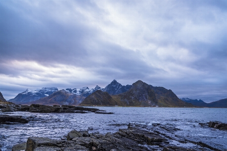 Landscape sea coast nature Photo