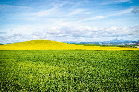 Landscape grass horizon plant Photo