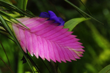 Natur gras anlage wiese
 Foto