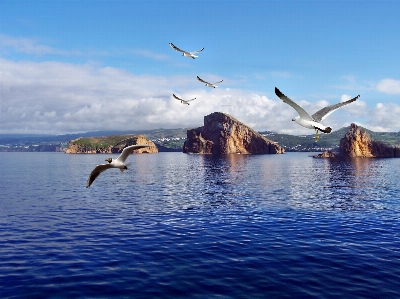 Beach landscape sea coast Photo