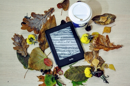 Screen nature book coffee Photo