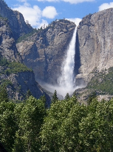 Landscape water nature forest Photo