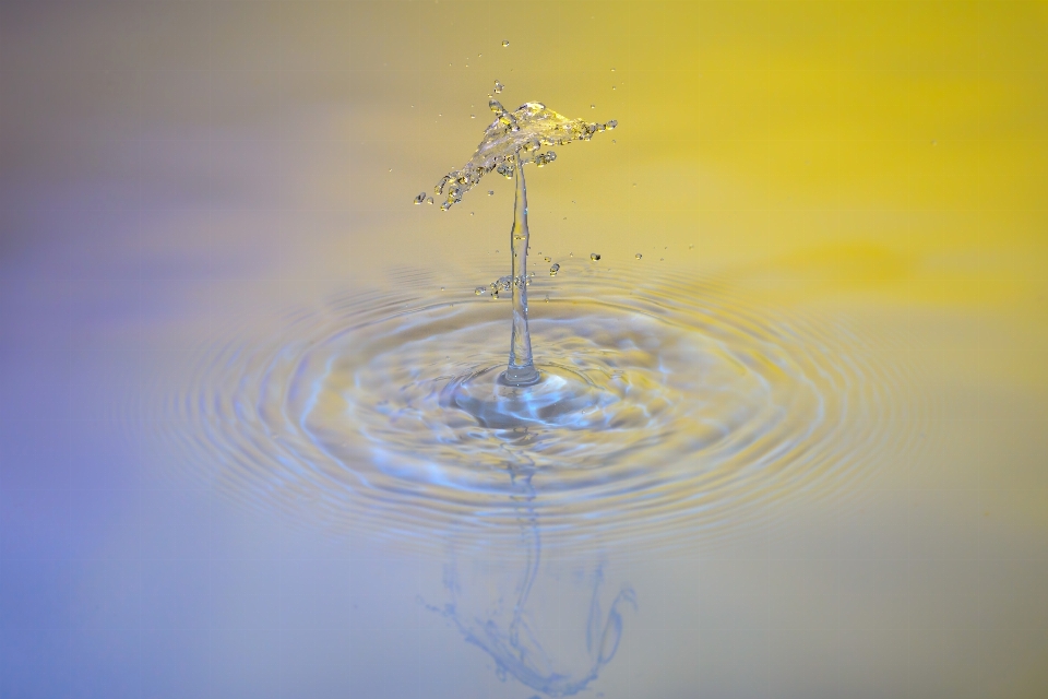 Agua rama gota líquido