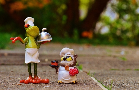 Bird play cute cooking Photo