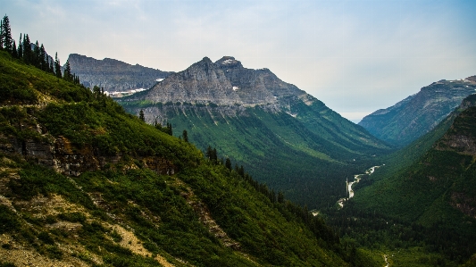 Landscape nature forest grass Photo