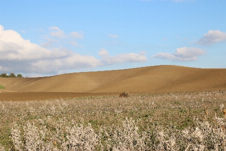 Landscape nature grass sand Photo