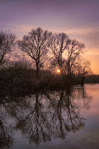 Landscape tree water nature Photo