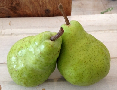 Nature plant fruit orchard Photo