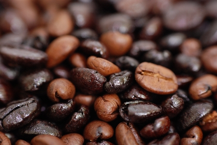 コーヒー 香り 食べ物 生産 写真