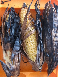 Plant grain dish food Photo