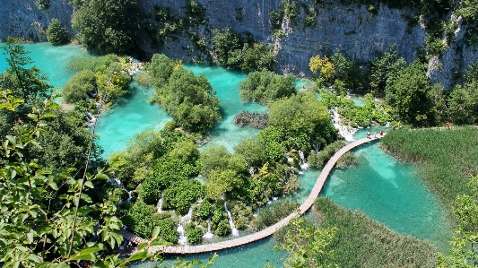 Foto Paesaggio acqua natura foresta