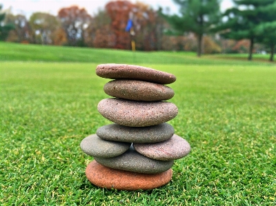 Grass rock structure lawn Photo