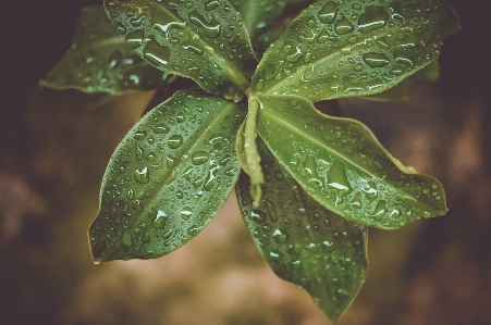 树 自然 分支 露 照片