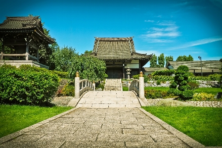 木 草 建築 橋 写真