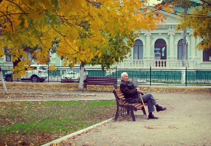 Foto árvore banco outono temporada