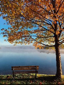 Landscape tree water nature Photo