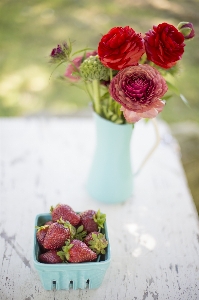 Plant bunch fruit berry Photo