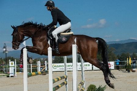 Man person animal jump Photo