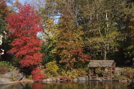 Zdjęcie Krajobraz drzewo woda natura