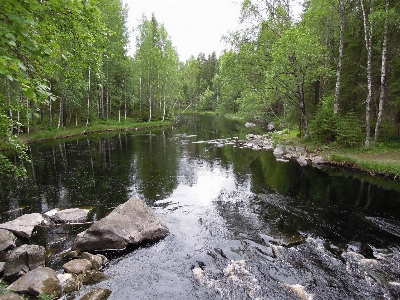 Landscape tree water nature Photo