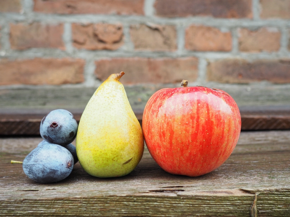 Apple anlage frucht blume