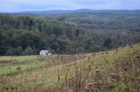 Landschaft natur wildnis
 berg Foto