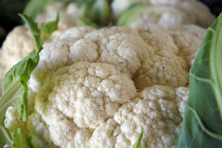 植物 白 皿 食べ物 写真