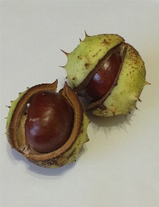 自然 植物 フルーツ 食べ物 写真