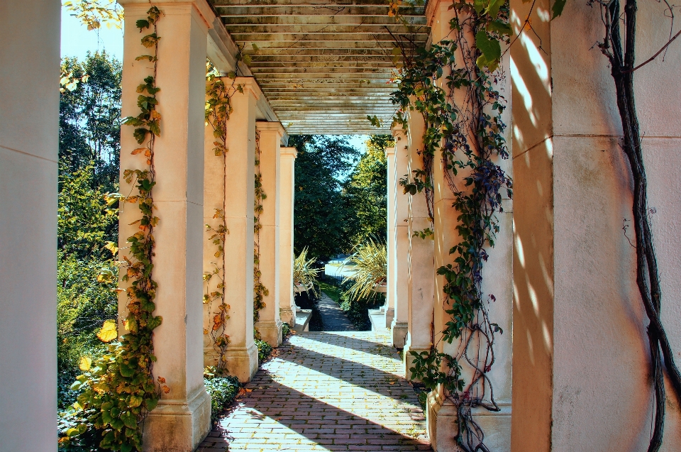 Manoir
 loger fenêtre ruelle