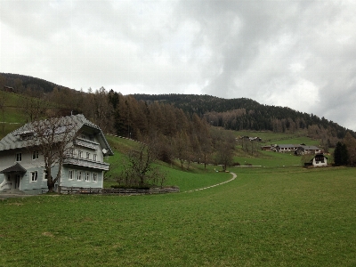 Landscape forest grass mountain Photo