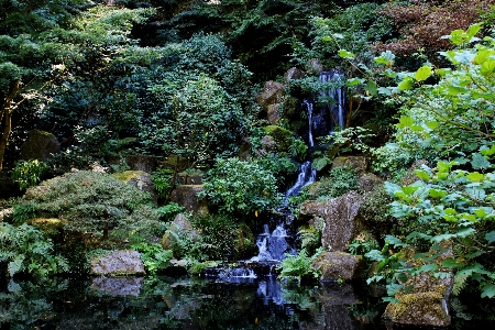 Landscape tree water nature Photo