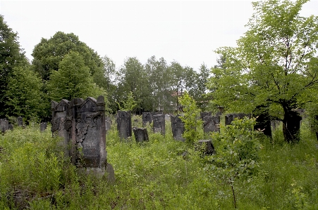 Alt stein friedhof bäume Foto