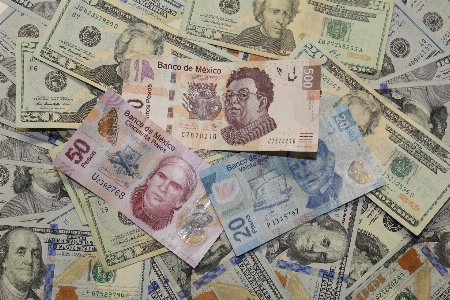 Foto Dinheiro papel moeda dólar