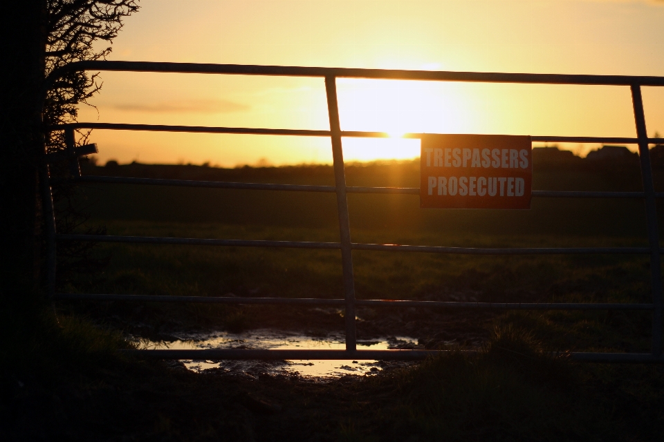 Landscape nature outdoor silhouette