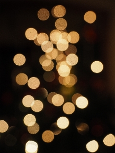 Foto Lampu bokeh
 nomor natal