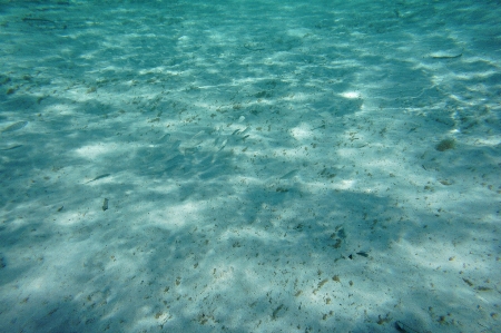 Sea sand ocean wave Photo