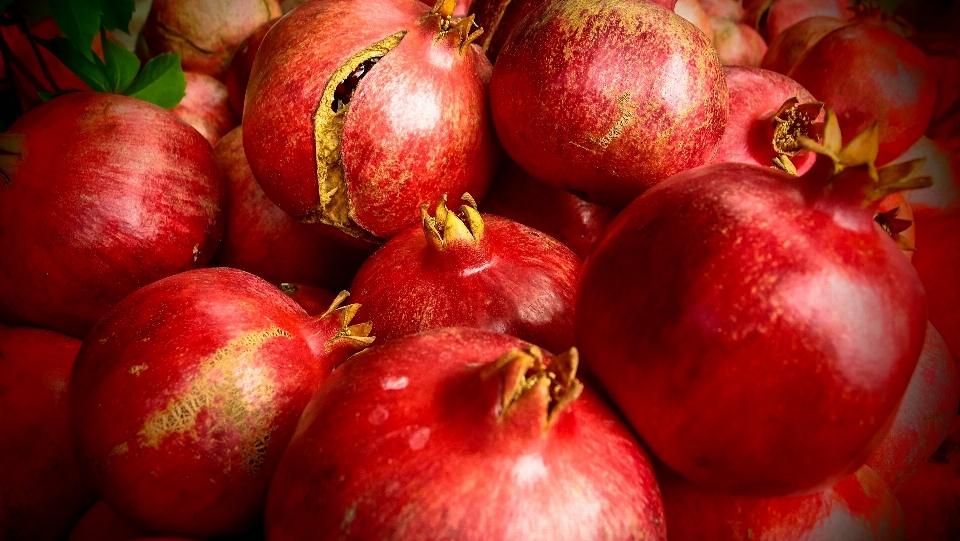 Apple 植物 フルーツ 食べ物