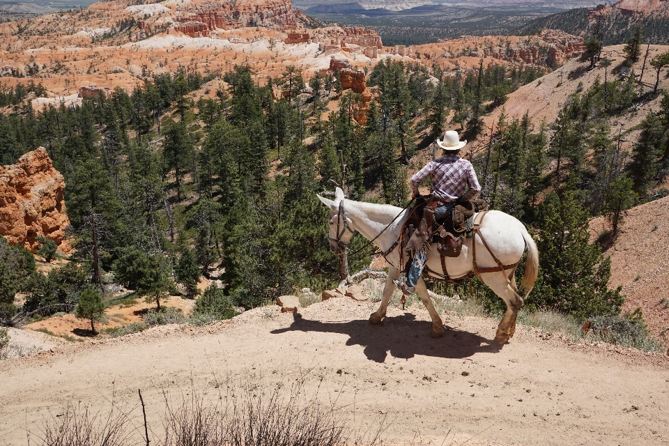 Landscape wilderness trail adventure