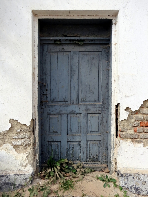 Wood antique house texture